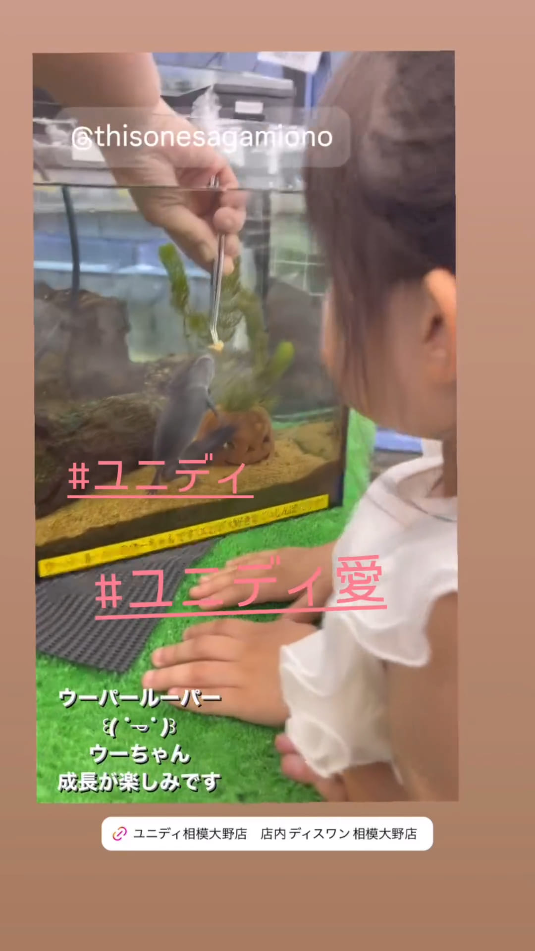 努力賞画像10