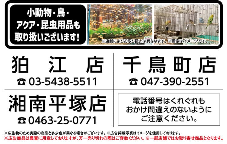 sp_秋を一緒に楽しむ、ガーデン用品とペット用品が大集合！_06