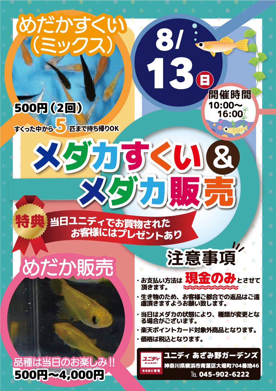 あざみ野ガーデンズ限定！めだか屋さんによる『めだかすくい＆販売