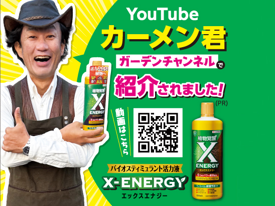 日本製スーパーベンチ底面エ型インクラインシステムアイアン