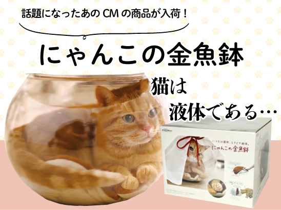 にゃんこの金魚鉢♪猫は液体である♥ | 【ダイユニカンパニー