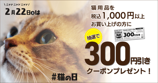 にゃん出品 モヨ Webike | MORIWAKI ENGINEERING モリワキエンジニアリング フル