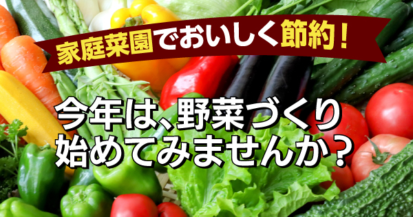 家庭菜園でおいしく節約！今年は野菜作り始めてみませんか？ | 【ダイ