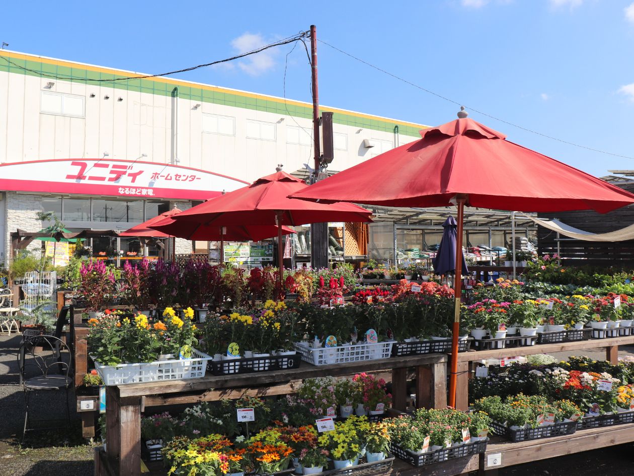 店舗 チラシ一覧 ユニディカンパニー ユニディ ホームセンター 株式会社アイリスプラザ