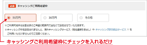 キャッシングご利用希望枠にチェックを入れるだけ