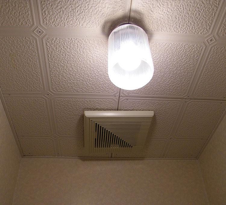 天井_画像